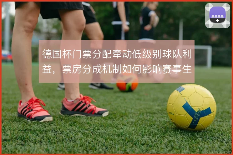 德国杯门票分配牵动低级别球队利益,票房分成机制如何影响赛事生态